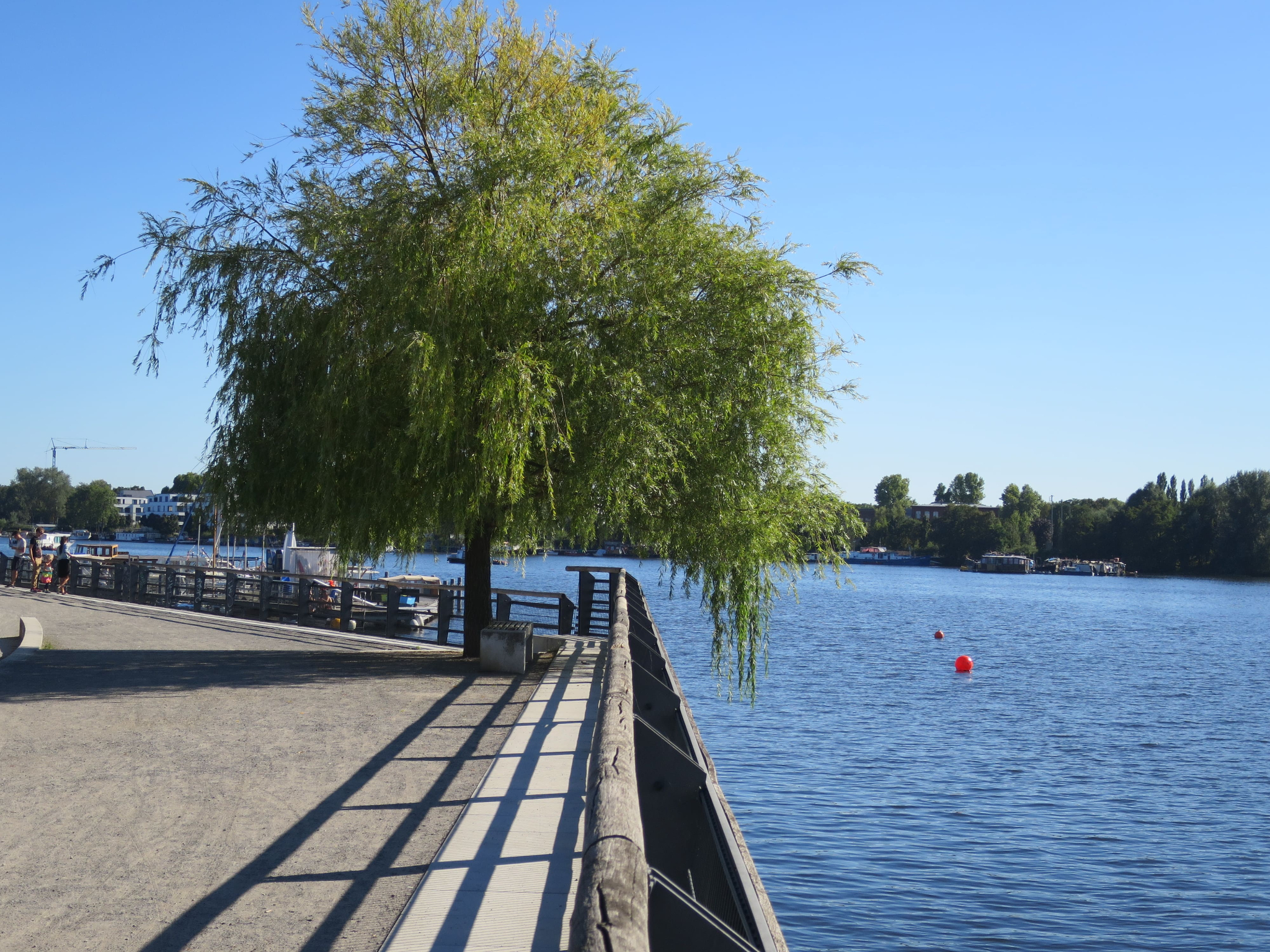 Rummelsburge Bucht 07
